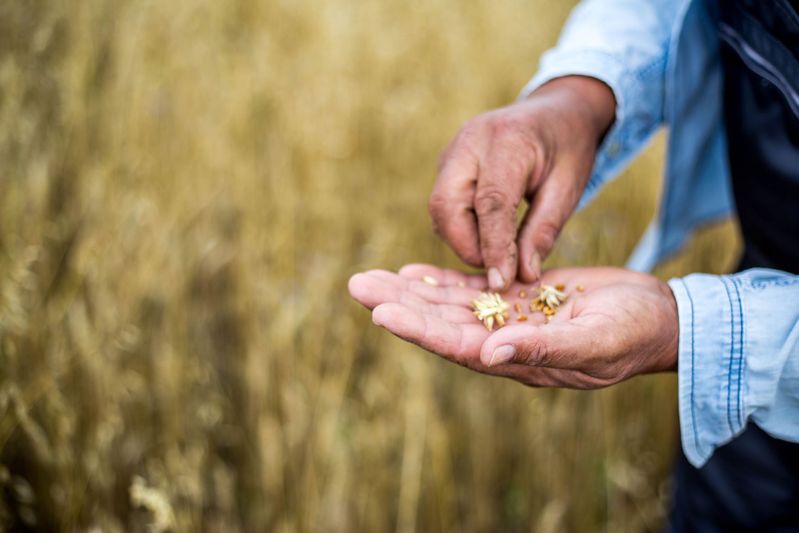 Primient Releases 2023 Impact Report