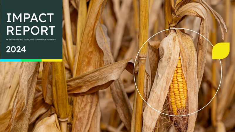 Primient’s 2024 Impact Report: Advancing Shared Value Across the Supply Chain 